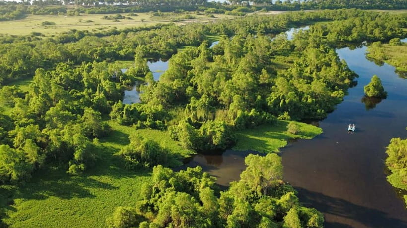 Kalametiya Sanctuary: Bird Watching by Private Boat Tour - What is included for $25