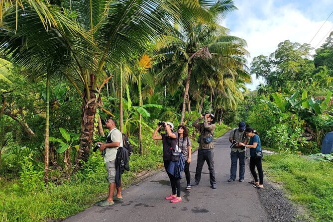 Kalapathar Sunrise, Birdwatching and Village Tour - Key points at a glance