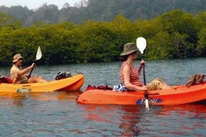 Kalapathar Sunrise, Birdwatching and Village Tour - Who should book this experience?