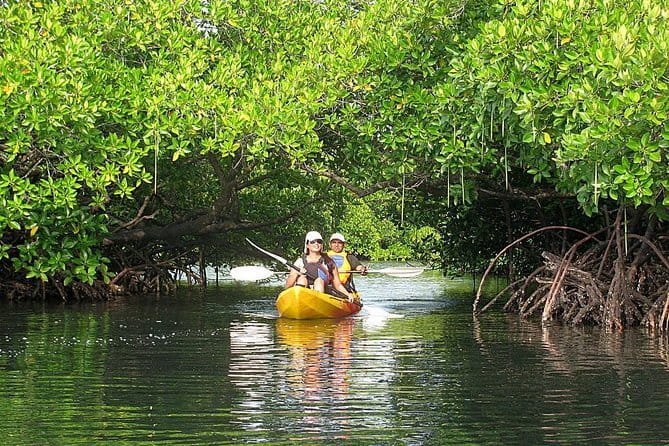 Kalapathar Sunrise, Birdwatching and Village Tour - Practical details before you reserve