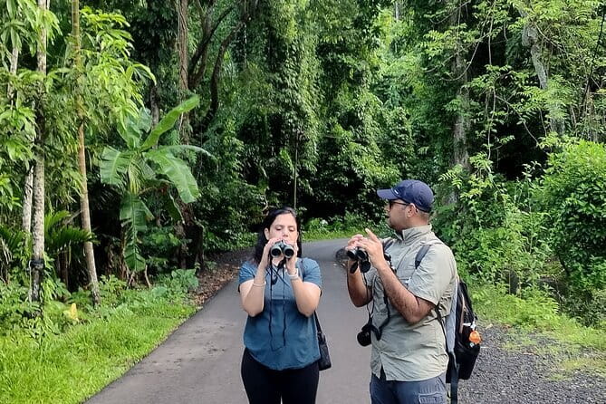 Kalapathar Sunrise, Birdwatching and Village Tour - From open shore to coastal forest