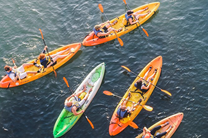 Kayak Rentals on Lady Bird Lake - Finding Austin Rowing Club at 74 Trinity Street