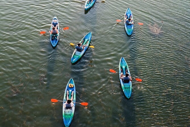 Kayak Rentals on Lady Bird Lake - Paddling Beneath the Congress Avenue Bat Bridge