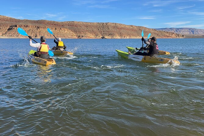 Kayak/SUP Tour: Birds, Beavers, Turtles, maybe even Cliff Jumping - Kayak or SUP, which is right for you?