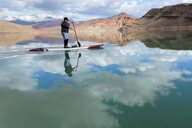 Kayak/SUP Tour: Birds, Beavers, Turtles, maybe even Cliff Jumping - How the guides shape the outing