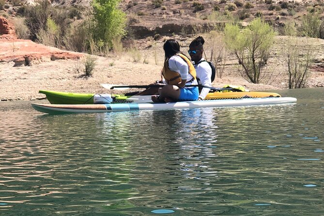 Kayak/SUP Tour: Birds, Beavers, Turtles, maybe even Cliff Jumping - Who will enjoy this most?