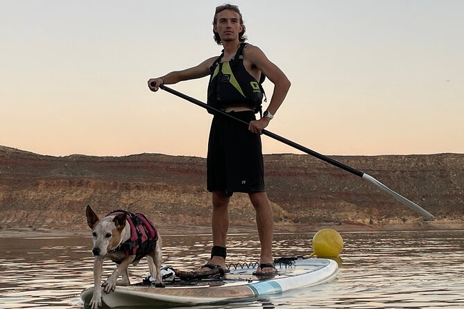 Kayak/SUP Tour: Birds, Beavers, Turtles, maybe even Cliff Jumping - Starting at Dig Paddlesports in Hurricane