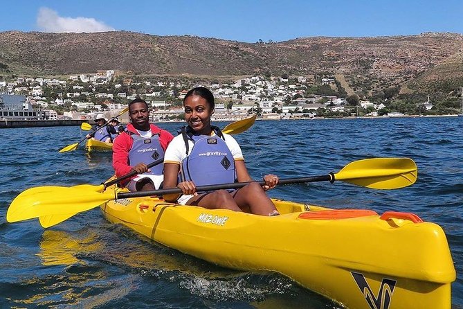 Kayak to the penguins in Simons Town - Boulders Beach and the African penguin colony