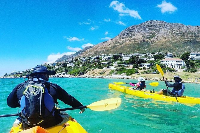 Kayak to the penguins in Simons Town - Fitness, clothing, and practical limits