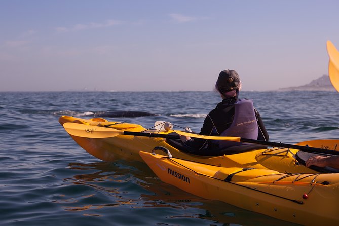 Kayak to the penguins in Simons Town - Simon’s Town Harbour puts the town in perspective