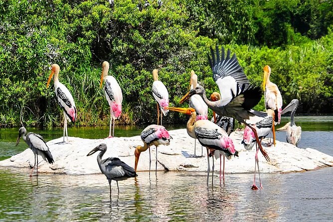 Keoladeo Birds Park Tour From Agra To Jaipur Including Entry - The dramatic geometry of Chand Baori