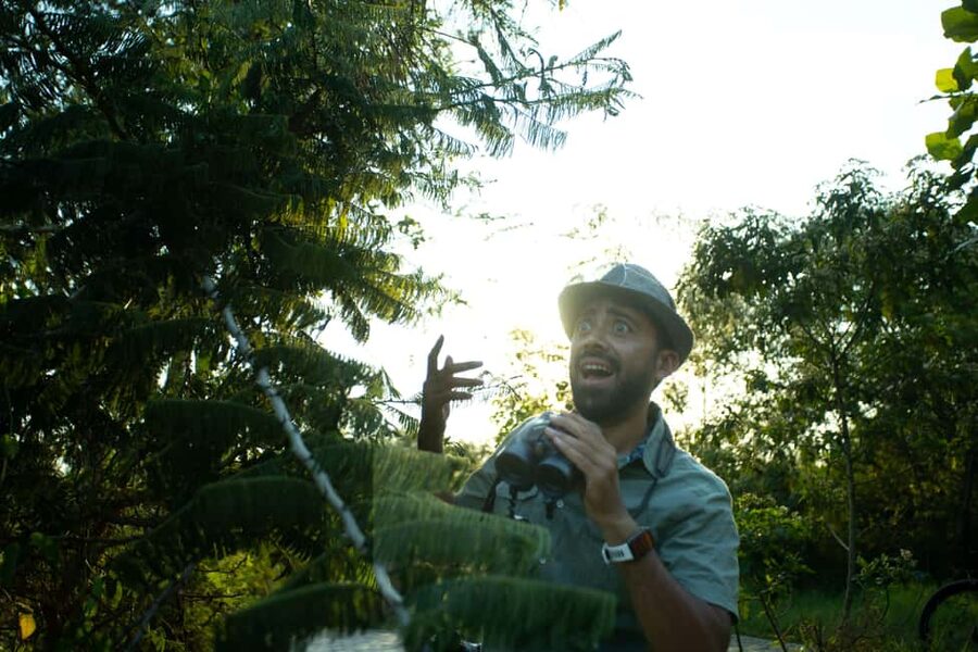 Kigali Eco Park Bird Watching Experience - Why Nyandungu makes a good Kigali birding stop
