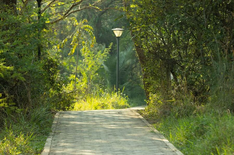 Kigali Eco Park Bird Watching Experience - Morning, afternoon, or evening?