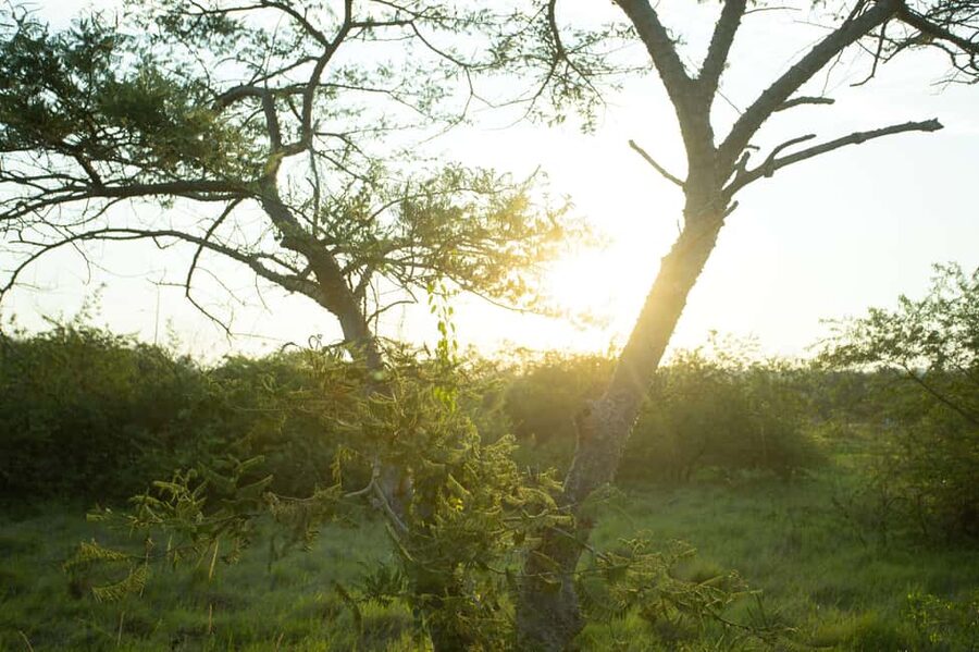 Kigali Eco Park Bird Watching Experience - Booking details worth checking first