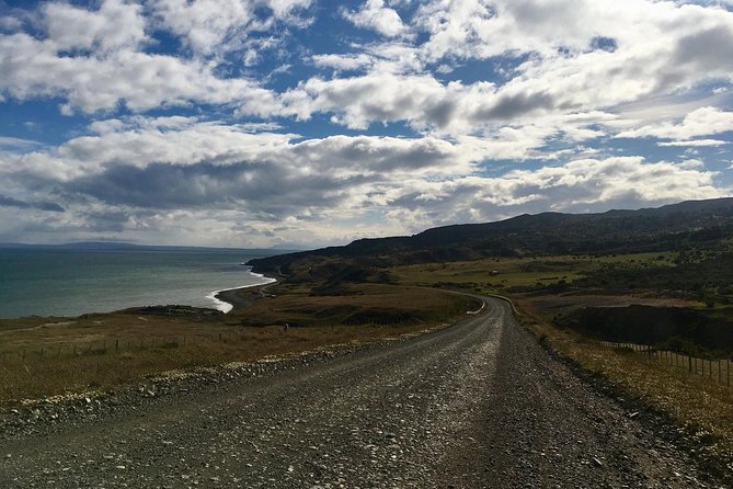 King Penguin Nature Reserve - Tierra del Fuego Island - One hour at Parque Pingüino Rey