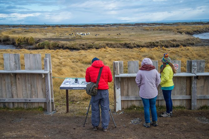 King Penguin Nature Reserve - Tierra del Fuego Island - The 5:00 a.m. start and the long road south
