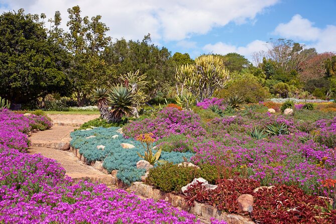 Kirstenbosch Garden, Bo-Kaap-Penguins & Cape of Good Hope Tour - Simon’s Town and the story of Just Nuisance
