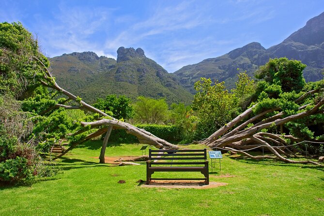 Kirstenbosch Garden, Bo-Kaap-Penguins & Cape of Good Hope Tour - Cape of Good Hope and the old lighthouse