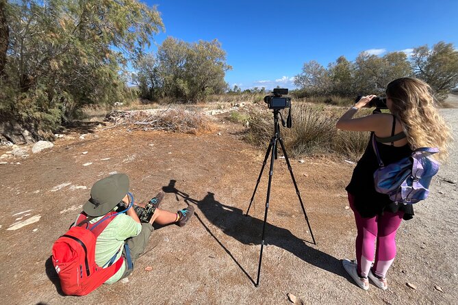 Kos Wildlife Walks: birdwatching and animal photography - Timing, weather, and the dry summer months