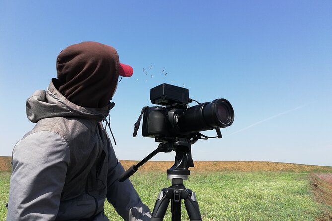 Kos Wildlife Walks: birdwatching and animal photography - Who will enjoy this most