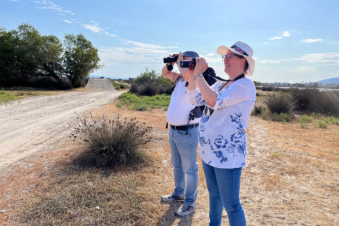 Kos Wildlife Walks: birdwatching and animal photography - Psalidi and the second look at Kos nature