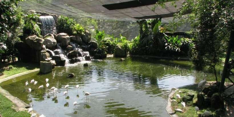 Kuala Lumpur: Bird Park, Butterfly & Garden Private Tour - Seeing Butterflies Up Close