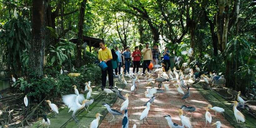 Kuala Lumpur: Bird Park, Butterfly & Garden Private Tour - Orchids, Hibiscus, and the Malaysian National Flower