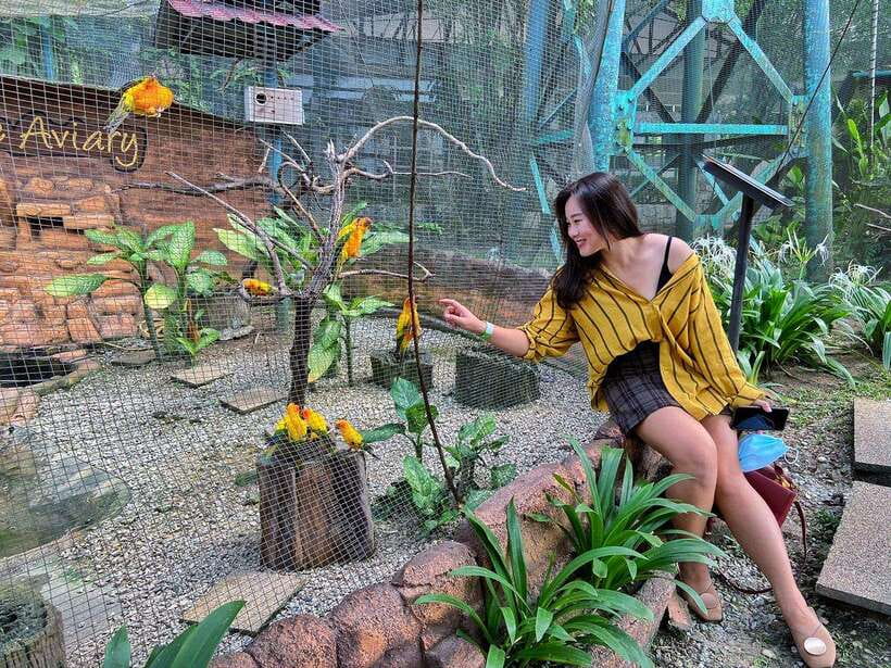 Kuala Lumpur: Bird Park Day Ticket & 1-Way Transfer - How the pickup works from Kuala Lumpur hotels