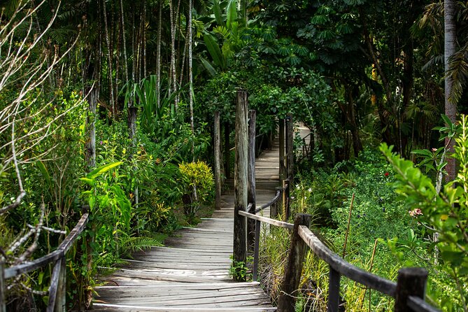 Kula Eco Bird Park ,Momi Gun Site And Market Tour Ex Marriott and Denarau resort - Should you book this Fiji day tour?