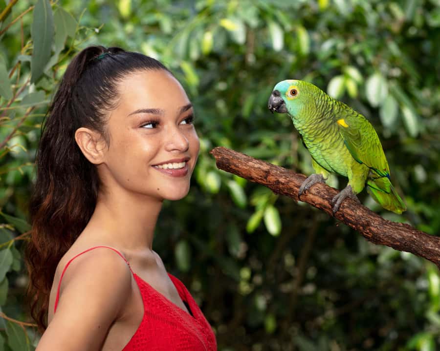 Kuranda Wildlife Experience: Koalas, Birds & Butterflies - Three Kuranda attractions in one wildlife day