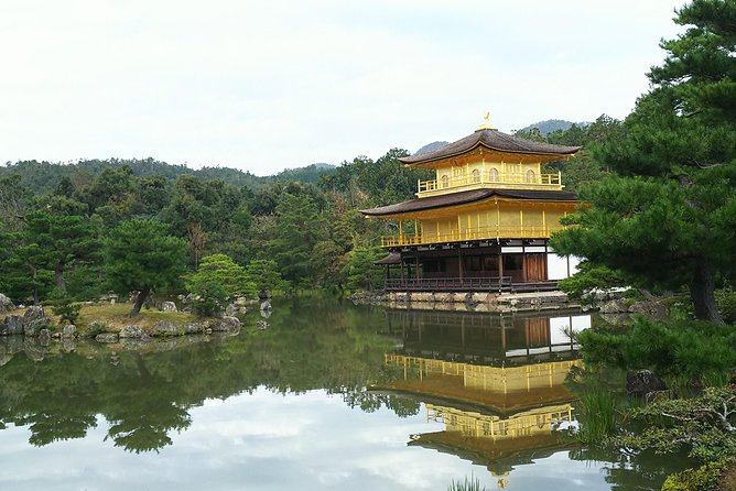 Kyoto Lazy Bird Walking Tour - Fushimi Inari: following the vermilion torii