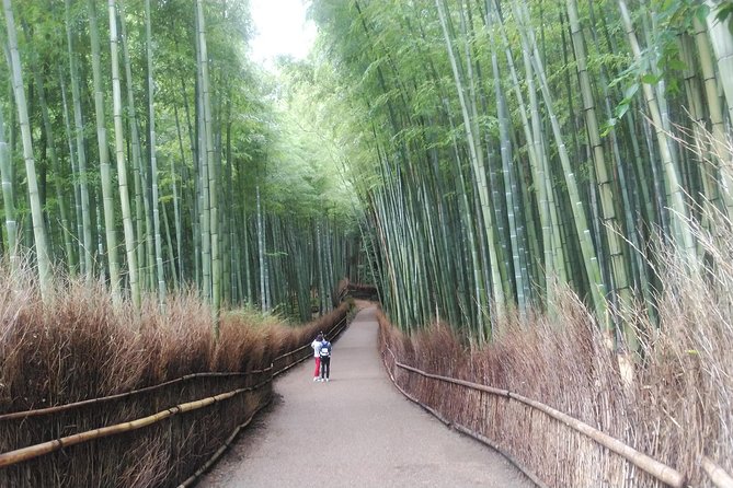 Kyoto Lazy Bird Walking Tour - Small drawbacks worth weighing
