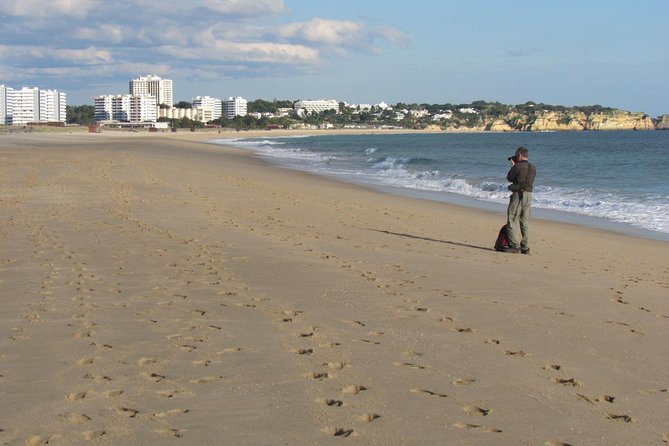 Laid-back birdwatching week - Day 4: A free morning and Alvor’s dunes