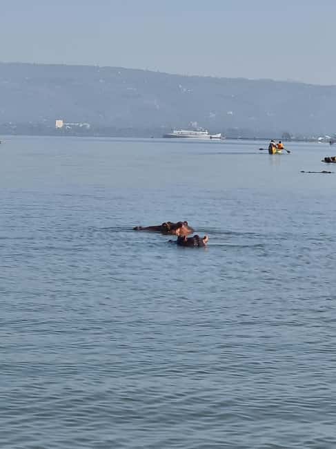 Lake Victoria Boat Ride, Birds Watching and Hippo Watching. - Key points at a glance