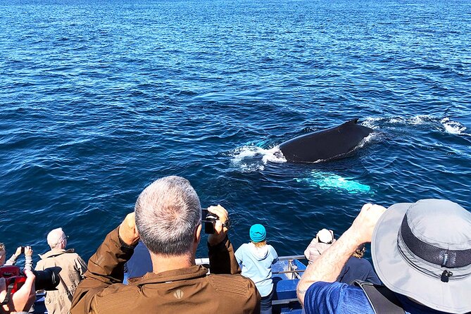 Late Season Puffin & Scenic Coastal Cruise - Stop 3: The Witless Bay Ecological Reserve