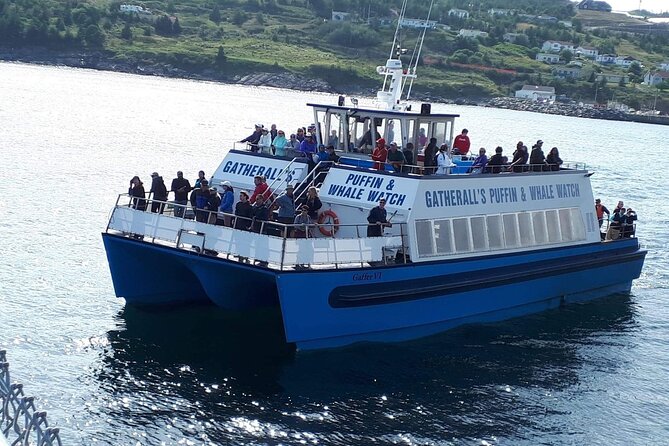 Late Season Puffin & Scenic Coastal Cruise - What the onboard narration adds
