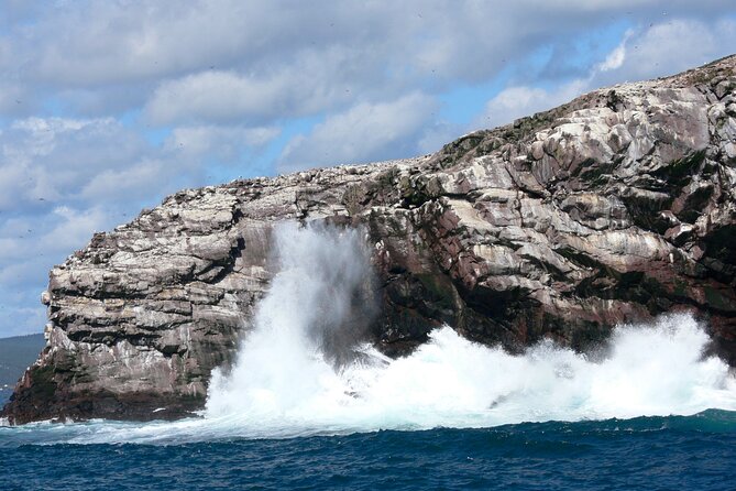 Late Season Puffin & Scenic Coastal Cruise - The shuttle, meeting point, and extra cost