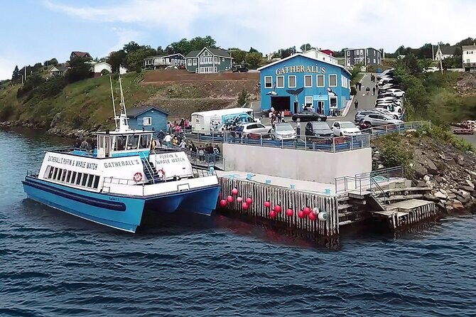 Late Season Puffin & Scenic Coastal Cruise - Is CA$71.18 a fair price?