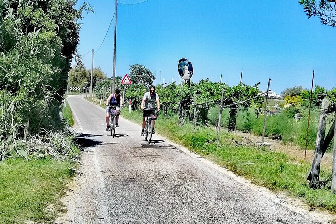 Lio Piccolo: Flamingos & Birdwatching Bike Tour in the Lagoon - Is $203.07 a fair price?