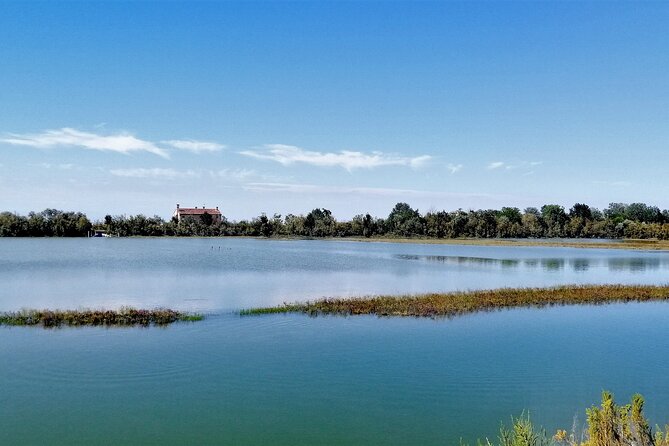 Lio Piccolo: Flamingos & Birdwatching Bike Tour in the Lagoon - Lio Piccolo and the lagoon’s flamingos