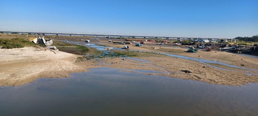 Lisbon: Tagus Estuary Nature Reserve Birdwatching Boat Tour - Mouchao da Povoa and the return past the bridge