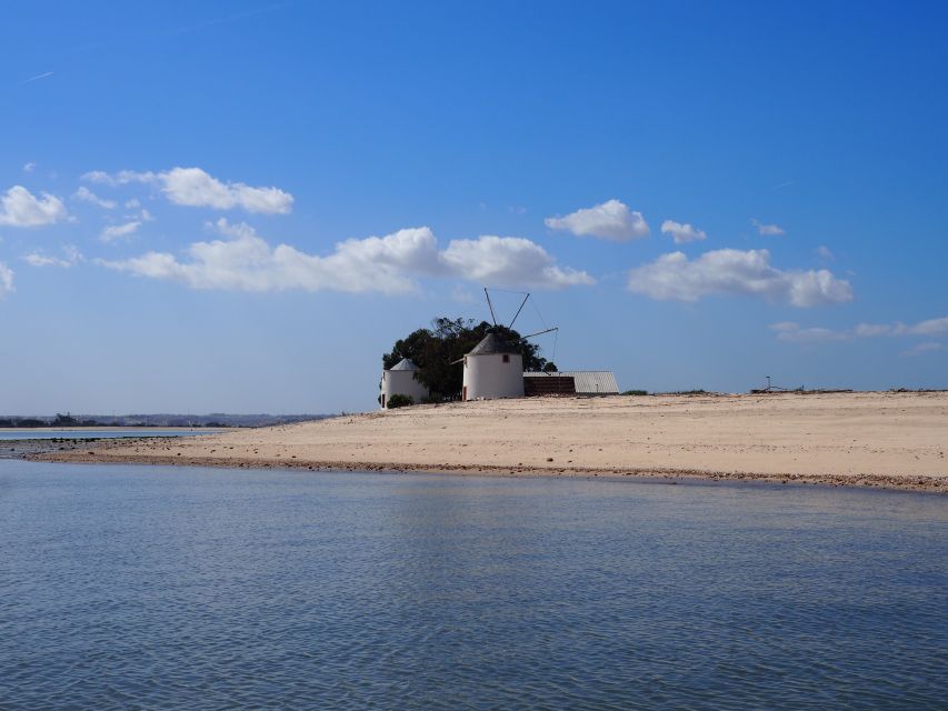 Lisbon: Tagus Estuary Nature Reserve Birdwatching Boat Tour - Meeting at Parque das Nações