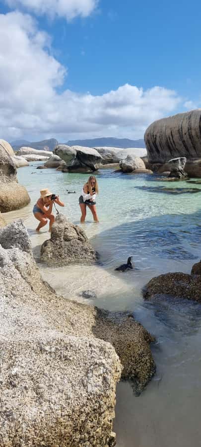 Luxury Cape of Good Hope & Penguin Tour - A full Cape Peninsula day in seven hours