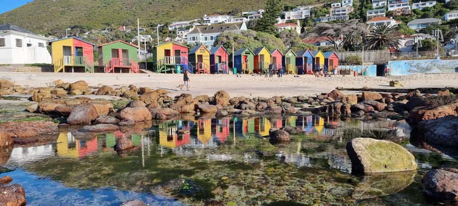Luxury Cape of Good Hope & Penguin Tour - Boulders Beach and the African penguins