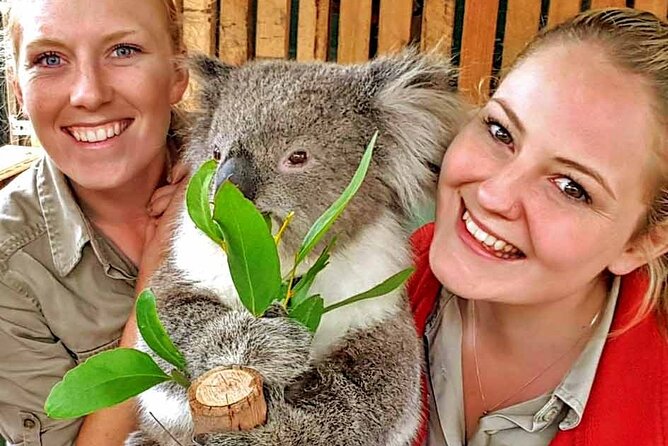 Luxury Phillip Island Tour for Families & Explorers [up to 10Pax] - Moonlit Sanctuary starts the wildlife story