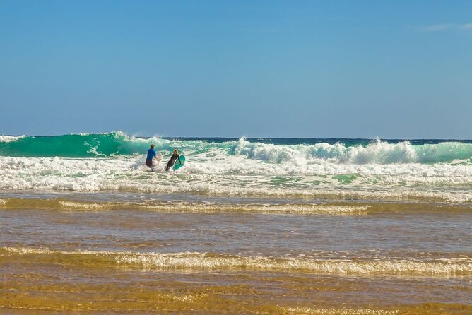 Luxury Phillip Island Tour for Families & Explorers [up to 10Pax] - The Penguin Parade is the main event