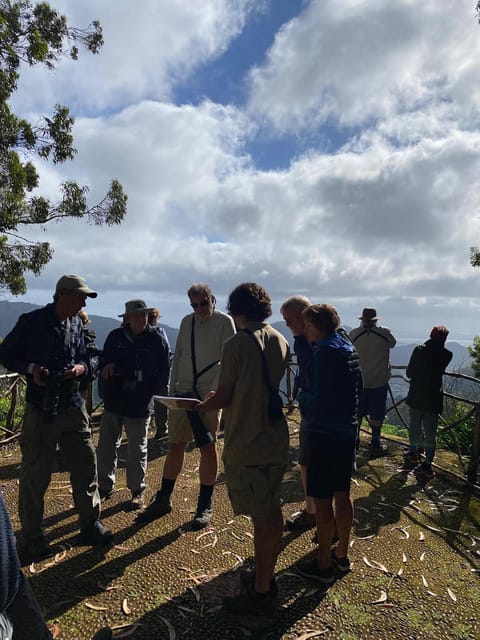 Madeira: Birdwatching - The Endemics - Who Will Enjoy This Tour Most