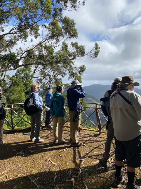 Madeira: Birdwatching - The Endemics - São Lourenço’s Open Birding Ground