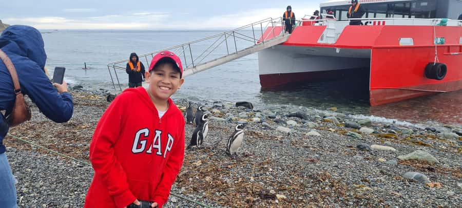 Magdalena Island: Walk with the penguins - Weather can decide the entire day