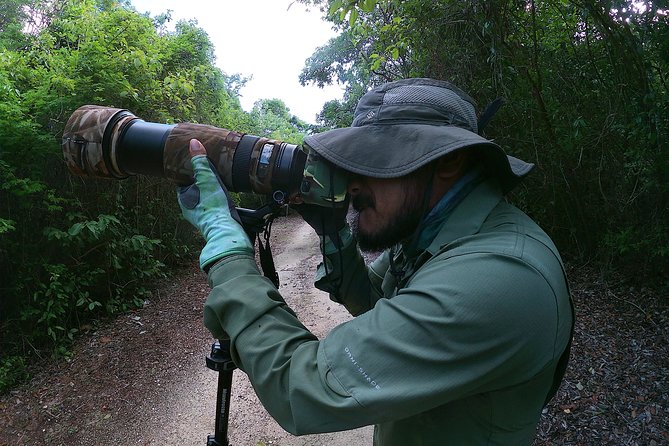 Mahahual and Costa Maya Birdwatching - Around Playa Mahahual and beyond the port